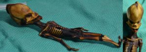 ancient-mummy-1024x370