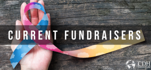 Fundraising banner