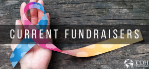 Copy of Fundraising banner