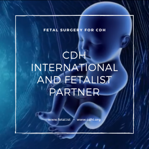 CDH International and Fetal.ist Partner (1)