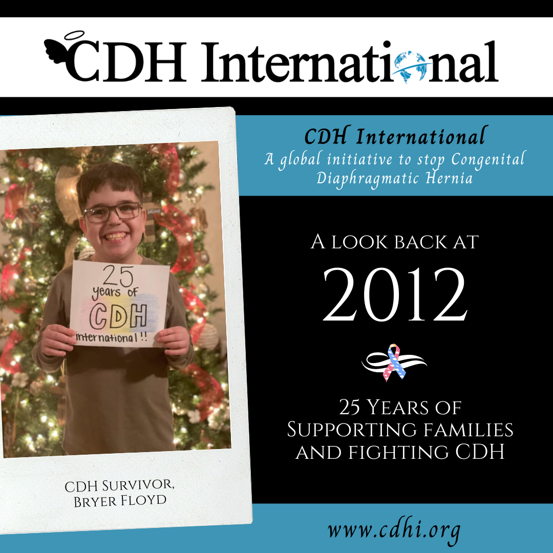 25 Years of CDH International – 2013