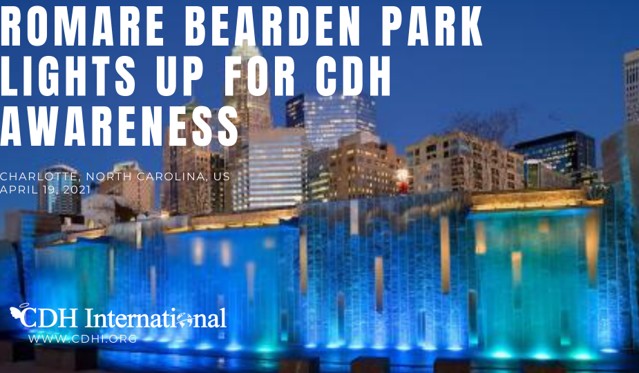 Romare Bearden Park Lights Up For CDH Awareness