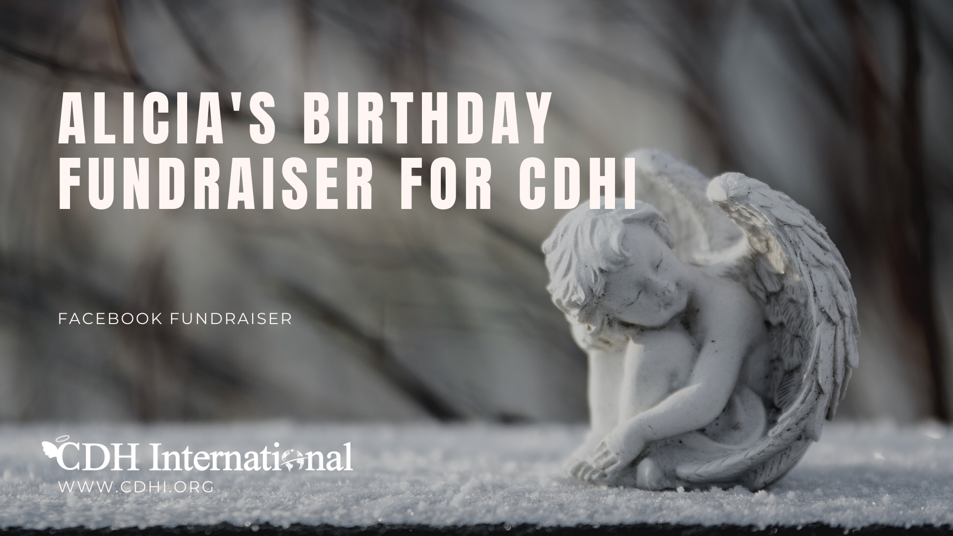 Pat’s Birthday Fundraiser For CDH International
