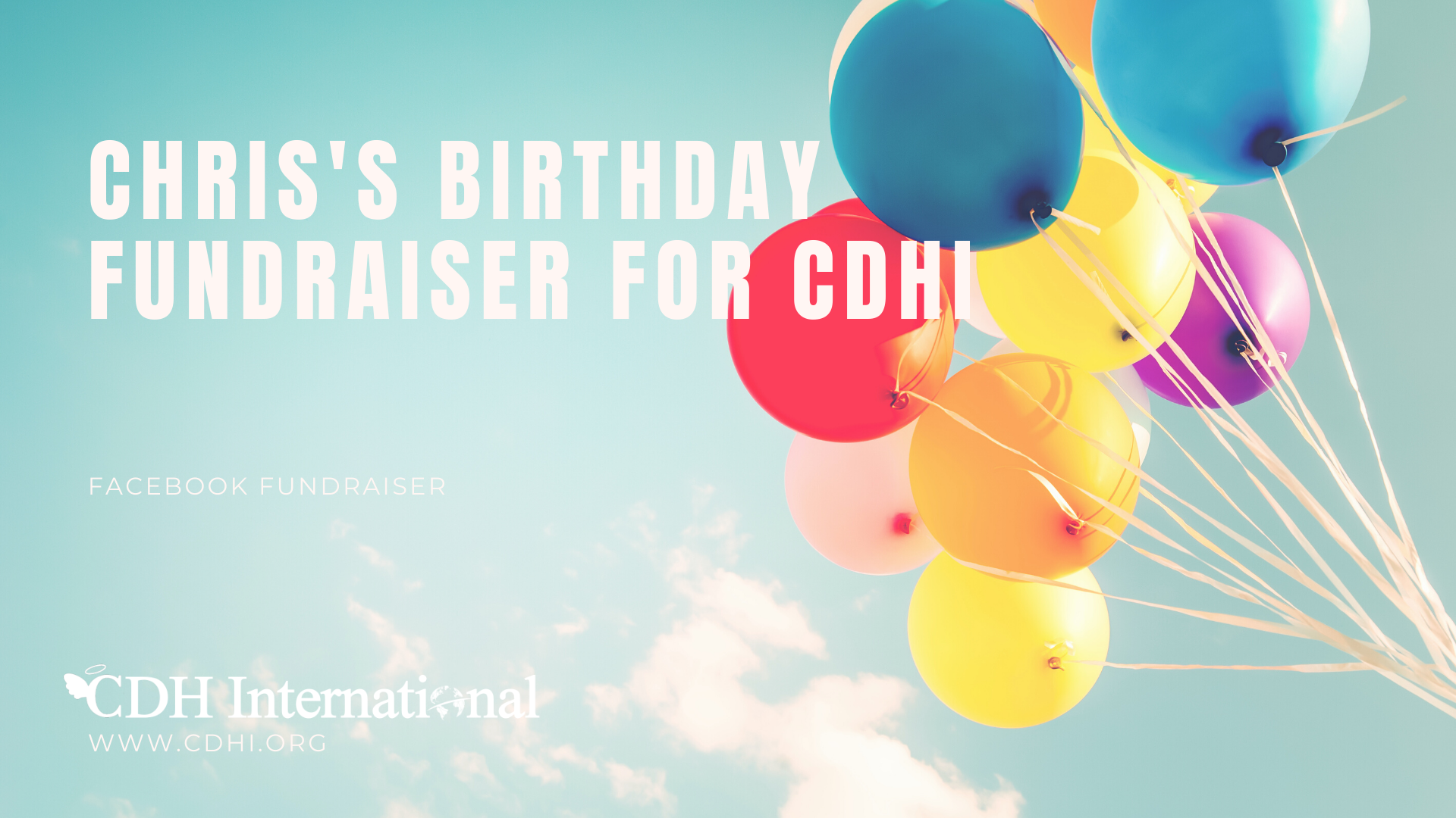 Bobbi’s Birthday Fundraiser For CDH International In Memory of Chase
