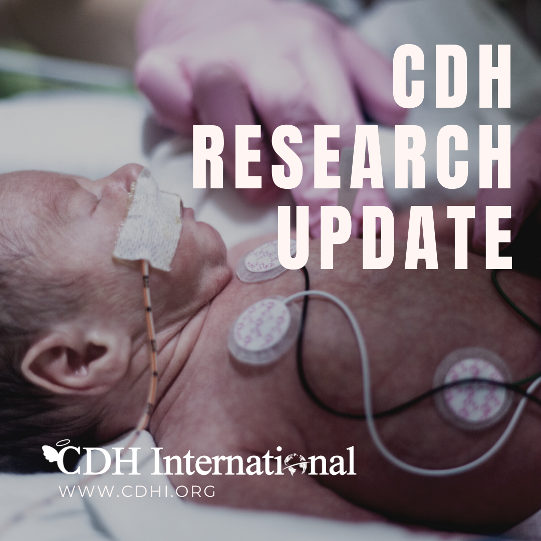 Research: Functional and structural evaluation in the lungs of children with repaired congenital diaphragmatic hernia