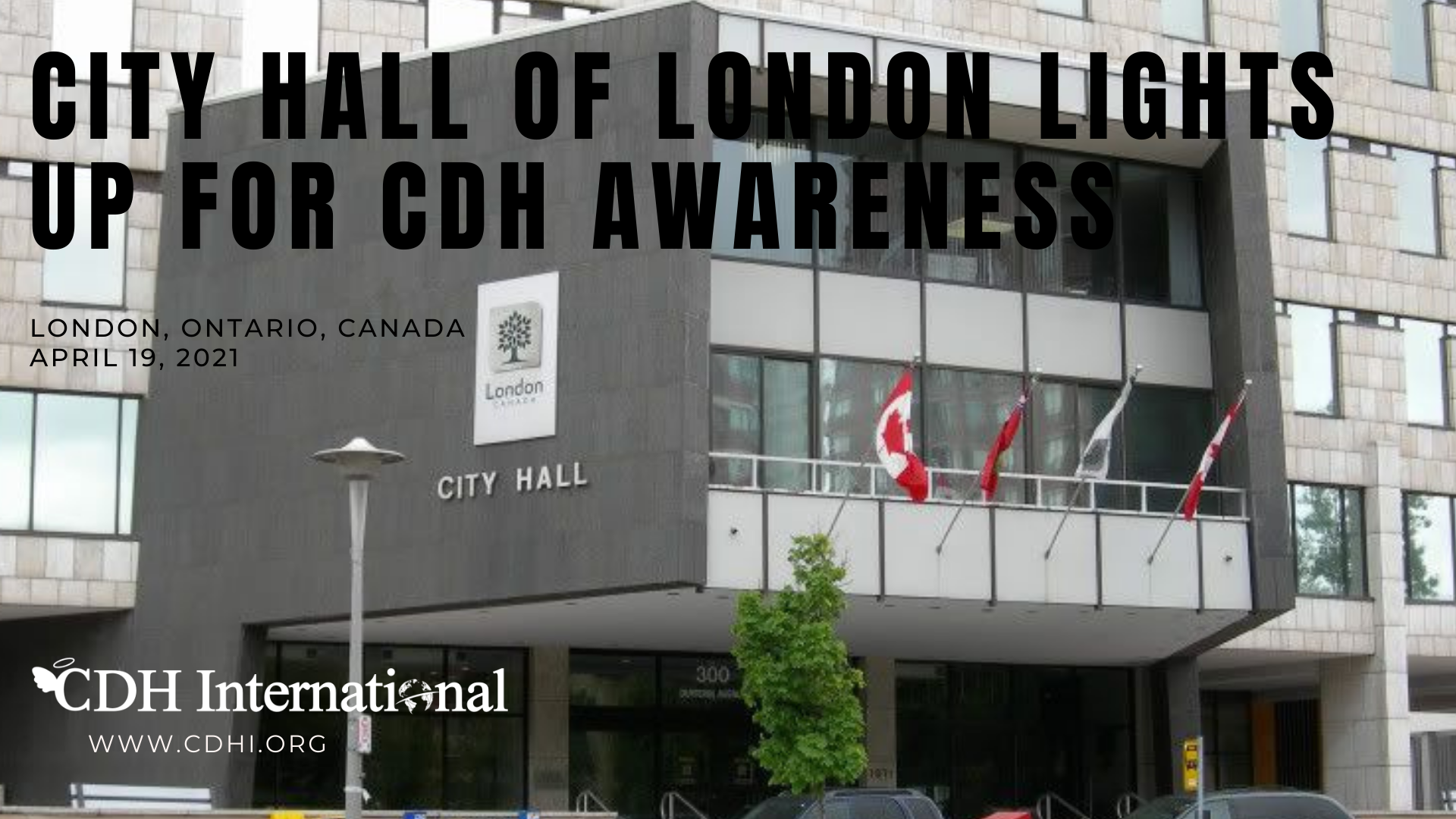 Niagara Falls Lights Up For CDH Awareness