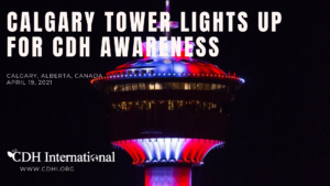 calgary tower main