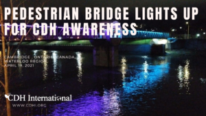 pedestrian bridge main