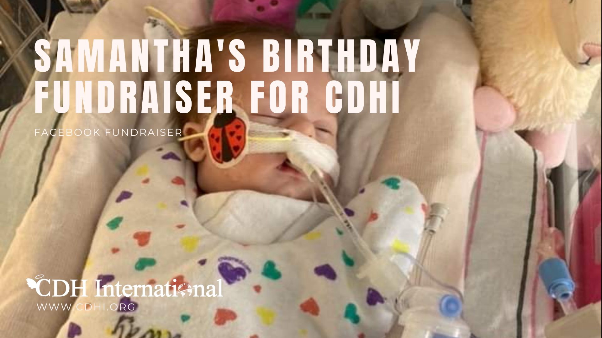 Emily’s Birthday Fundraiser For CDHi in Memory of David