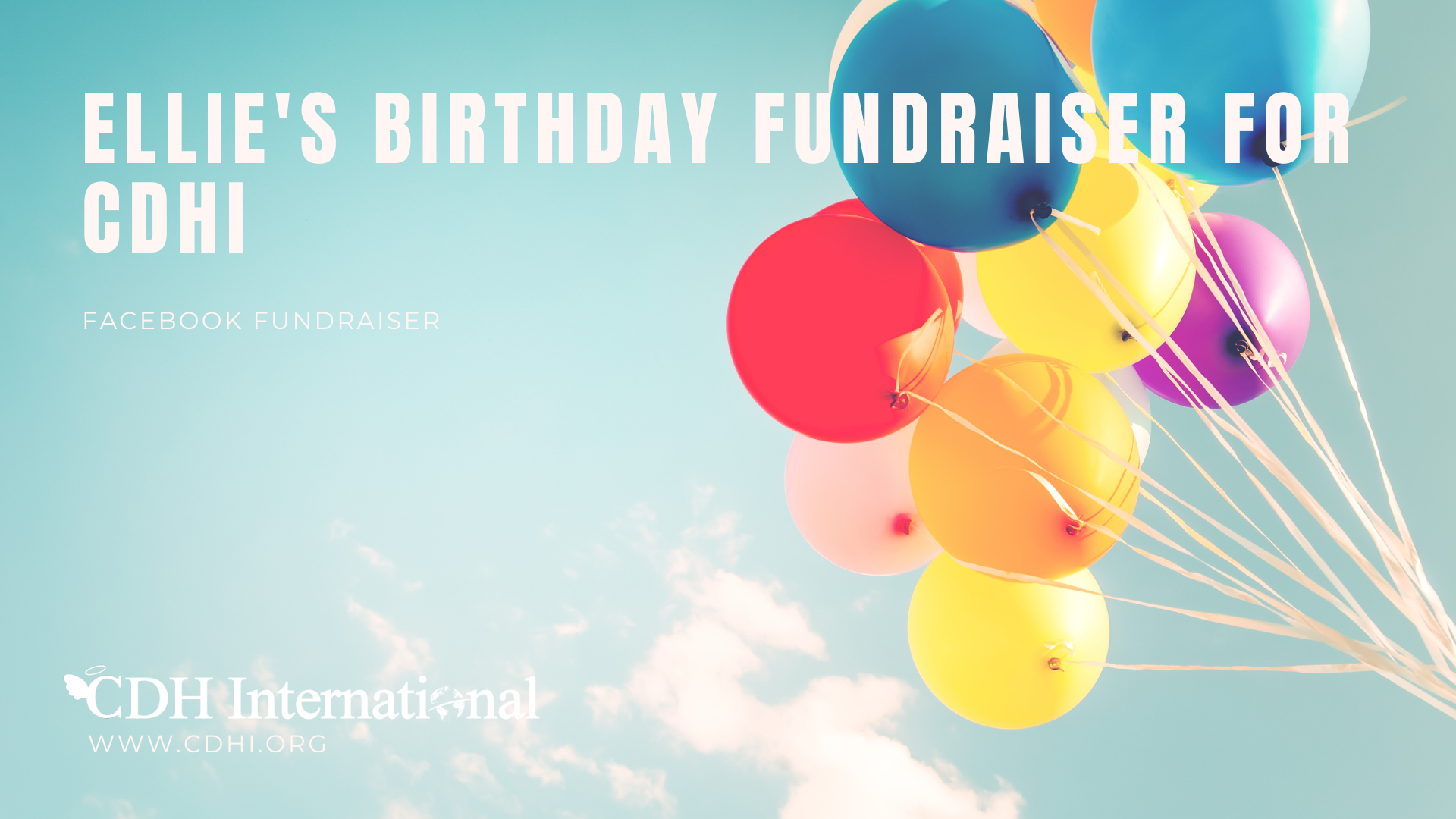 Belinda’s Birthday Fundraiser for CDHi