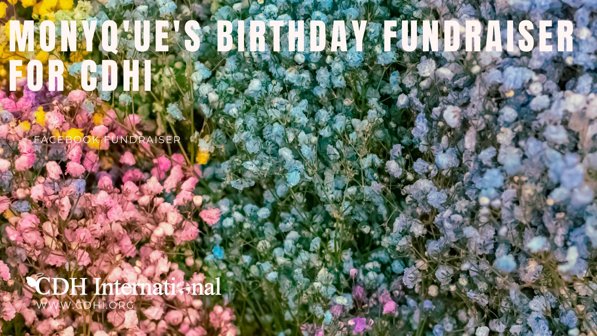 Shaquille’s Birthday Fundraiser for CDHi