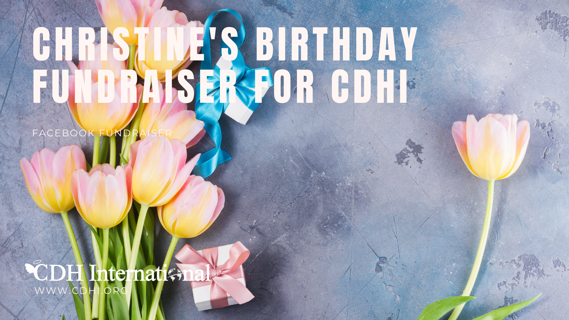 Ann’s Birthday Fundraiser for CDHi in Honor of Mason