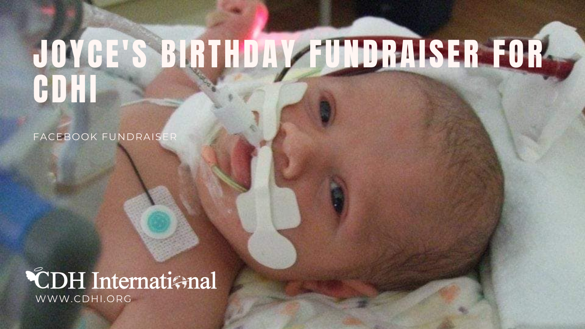 Recaudación de fondos de cumpleaños de Antonio para CDH International