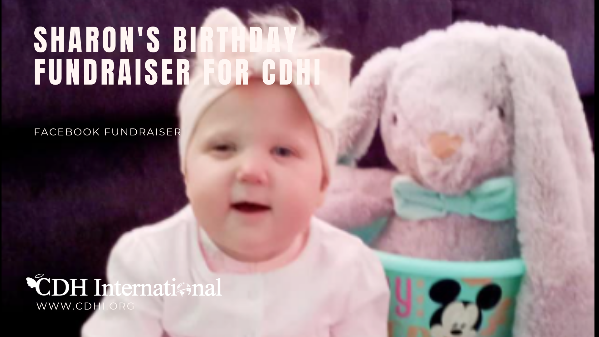 Amanda’s Birthday Fundraiser for CDHi