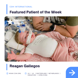 NEW DESIGN TRACY (7)