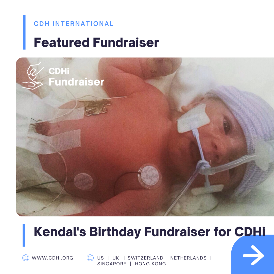 Arthur’s Birthday Fundraiser for CDHi