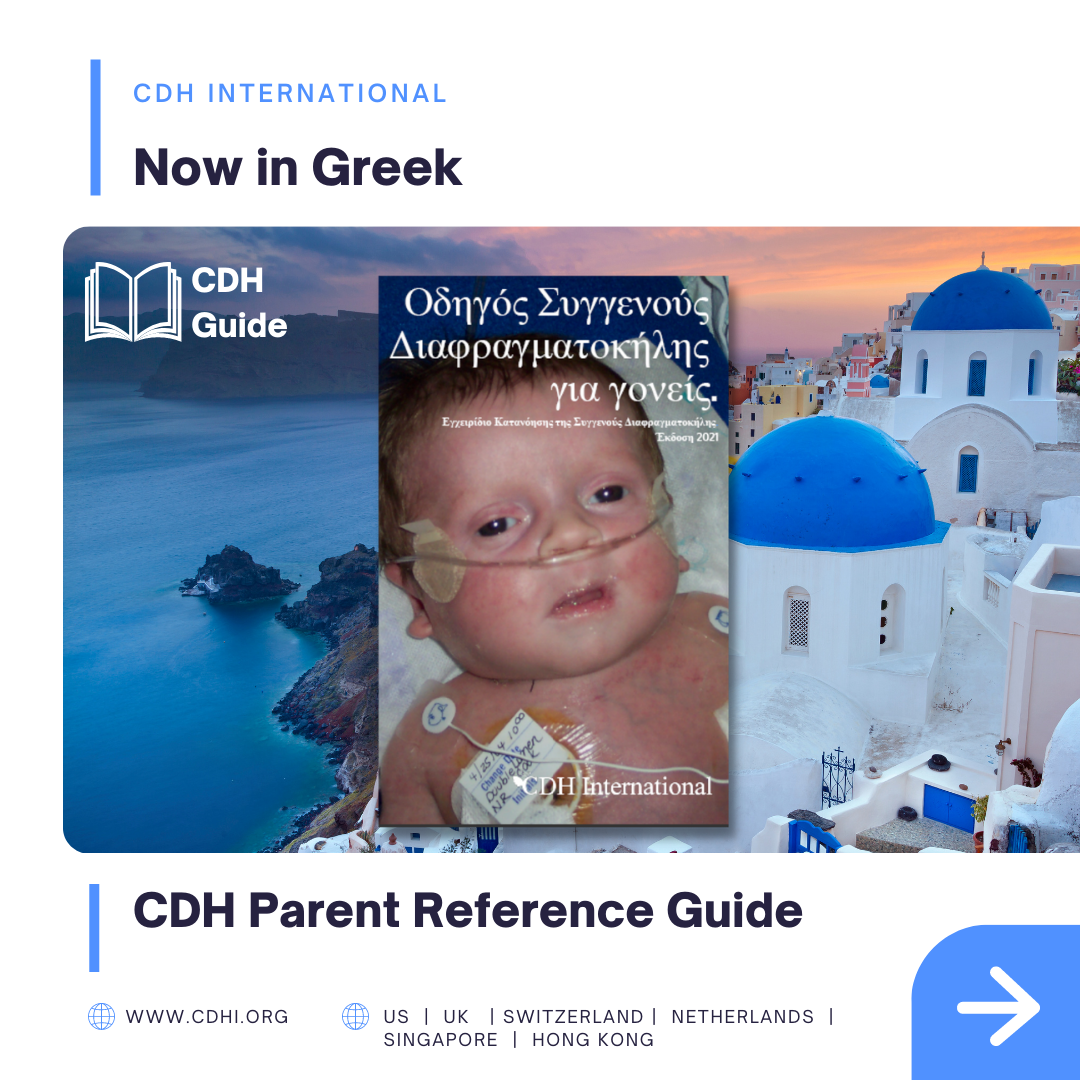 Das CDH Parent Reference Guide ist Jetzt Auch in Deutscher Sprache Verfügbar