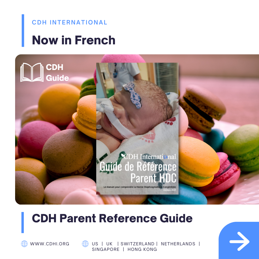 La Guía de Referencia para Padres de CDH está Disponible en Español