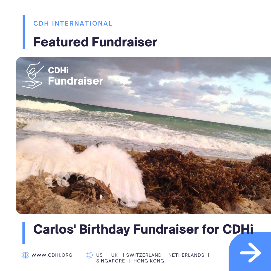 Krystal’s Birthday Fundraiser for CDHi