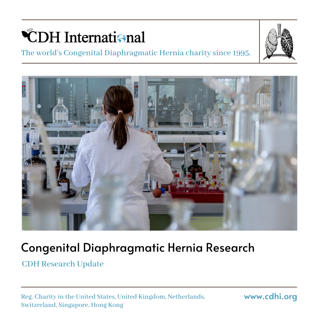 Research: Commentary on long-term outcomes of congenital diaphragmatic hernia: A single institution experience
