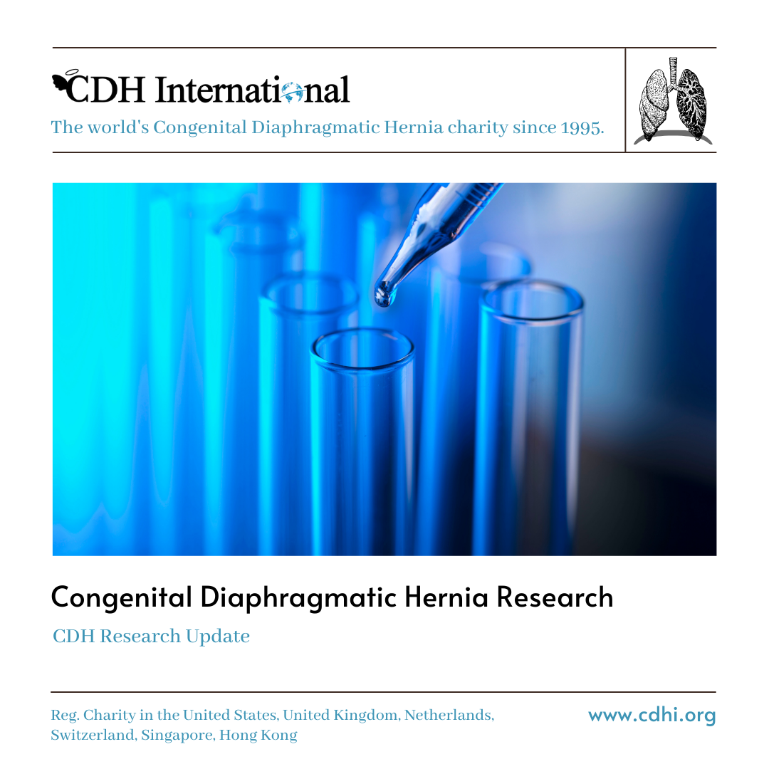 Research: Congenital Diaphragmatic Hernia: Fetal Therapies to Increase Survival Are Only the Beginning