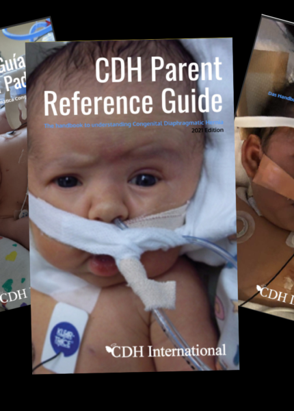 CDH Parent Reference Guide