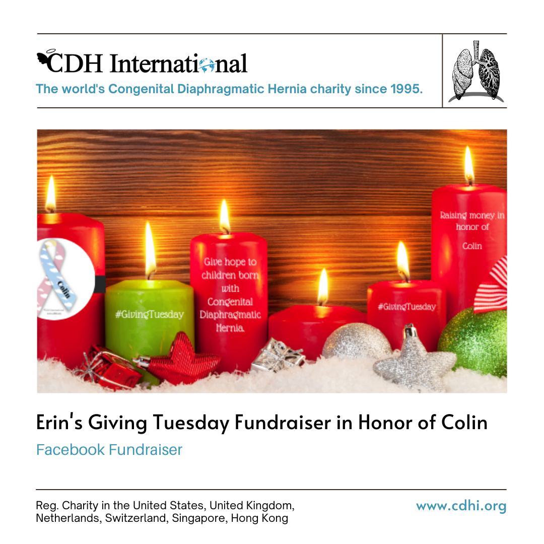 Stacey’s Giving Tuesday Fundraiser for CDHi in Memory of Caitlyn