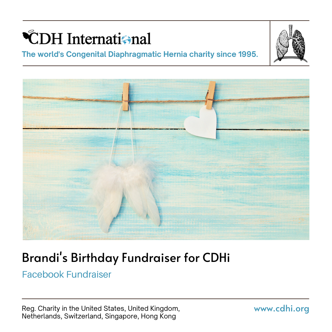 Carissa’s Birthday Fundraiser for CDHi in Memory of CJ