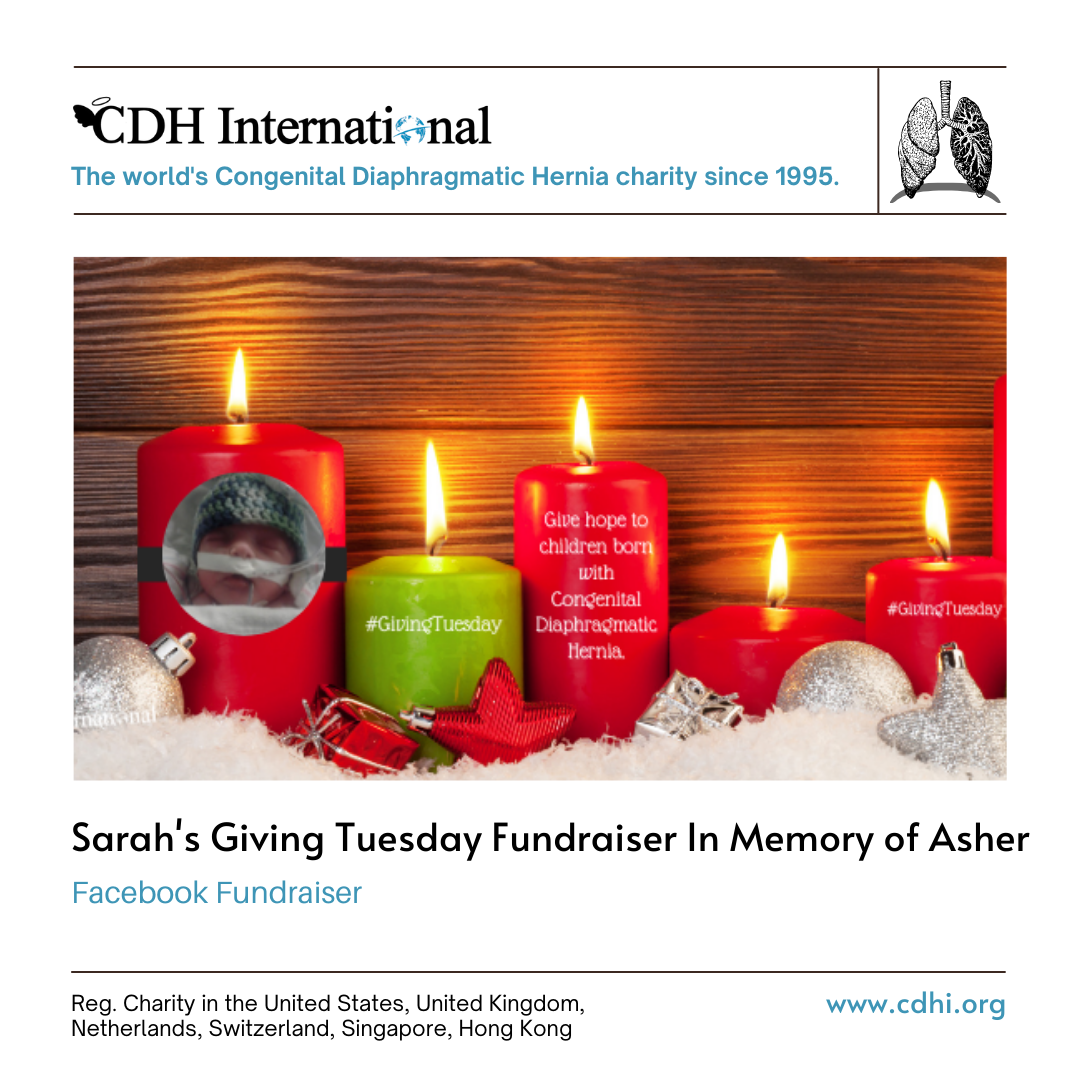 Ariene’s Giving Tuesday Fundraiser in Memory of Ro