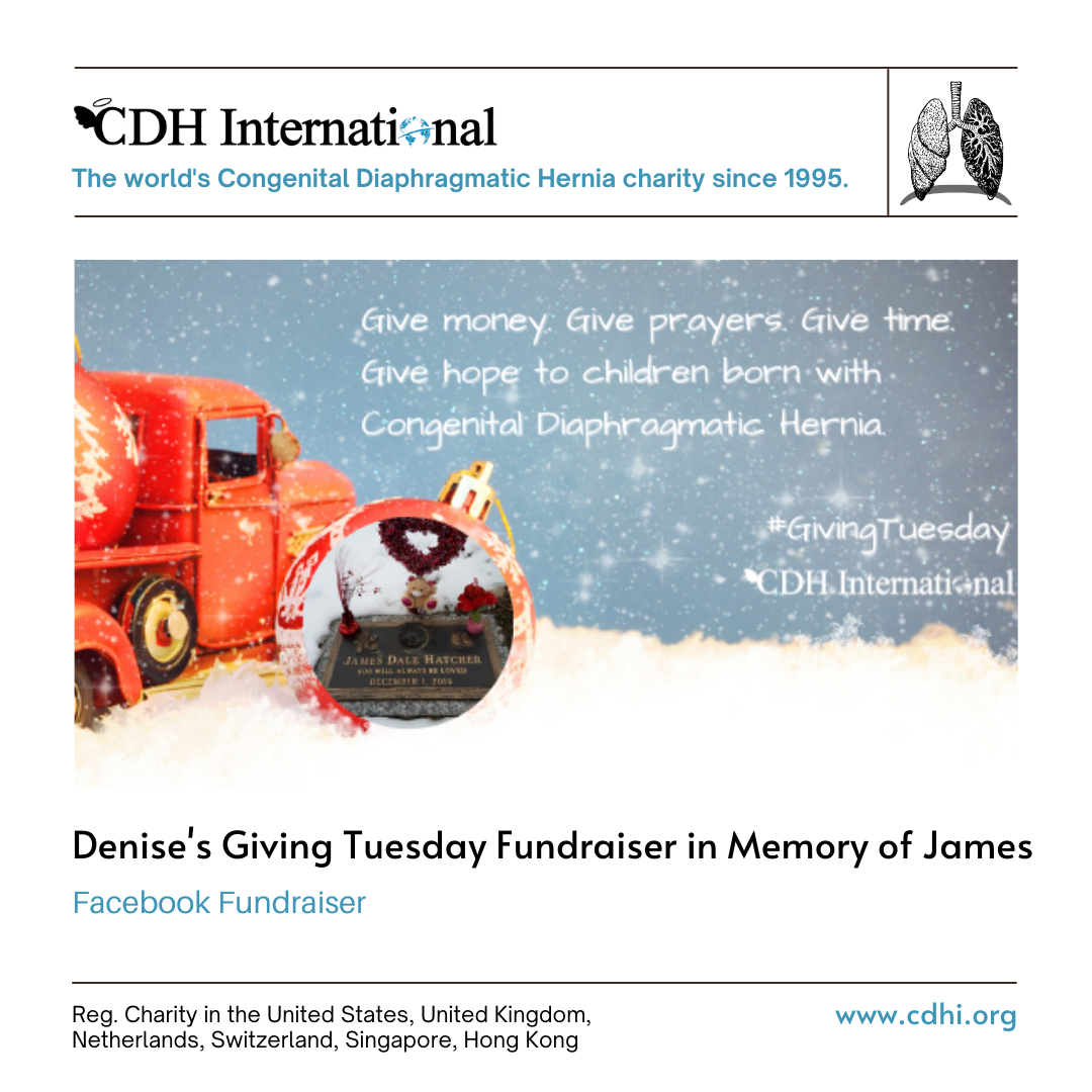 Lisa’s Giving Tuesday Fundraiser for CDHi in Honor of Casey