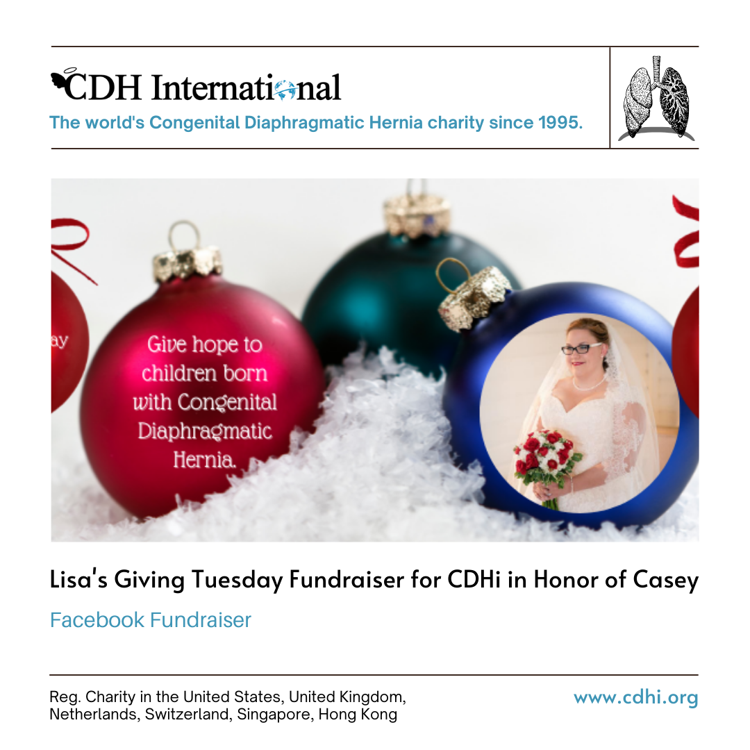 Denise’s Giving Tuesday Fundraiser for CDHi in Memory of James