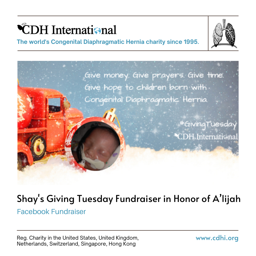 Emily’s Giving Tuesday Fundraiser in Memory of Freya