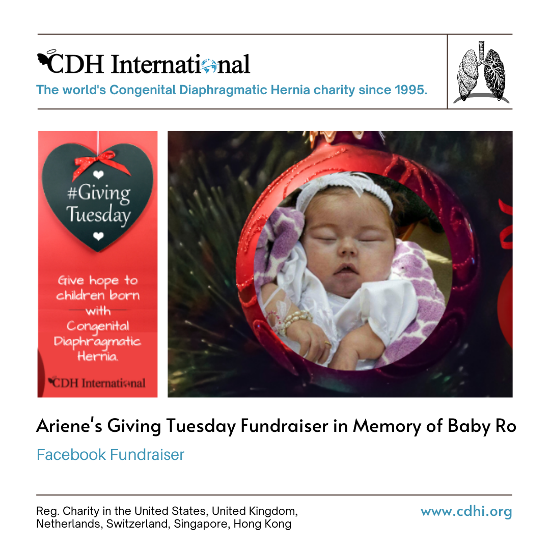 Phyllis’s Giving Tuesday Fundraiser in Memory of Cherylynn
