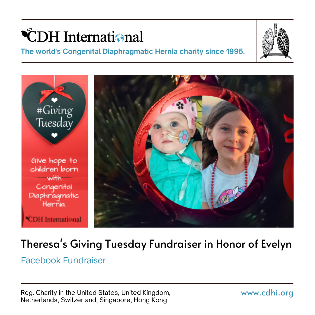 Phyllis’s Giving Tuesday Fundraiser in Memory of Cherylynn