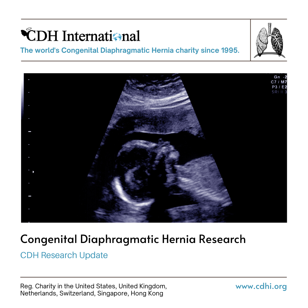 Research: Ventricular function in congenital diaphragmatic hernia: a systematic review and meta-analysis