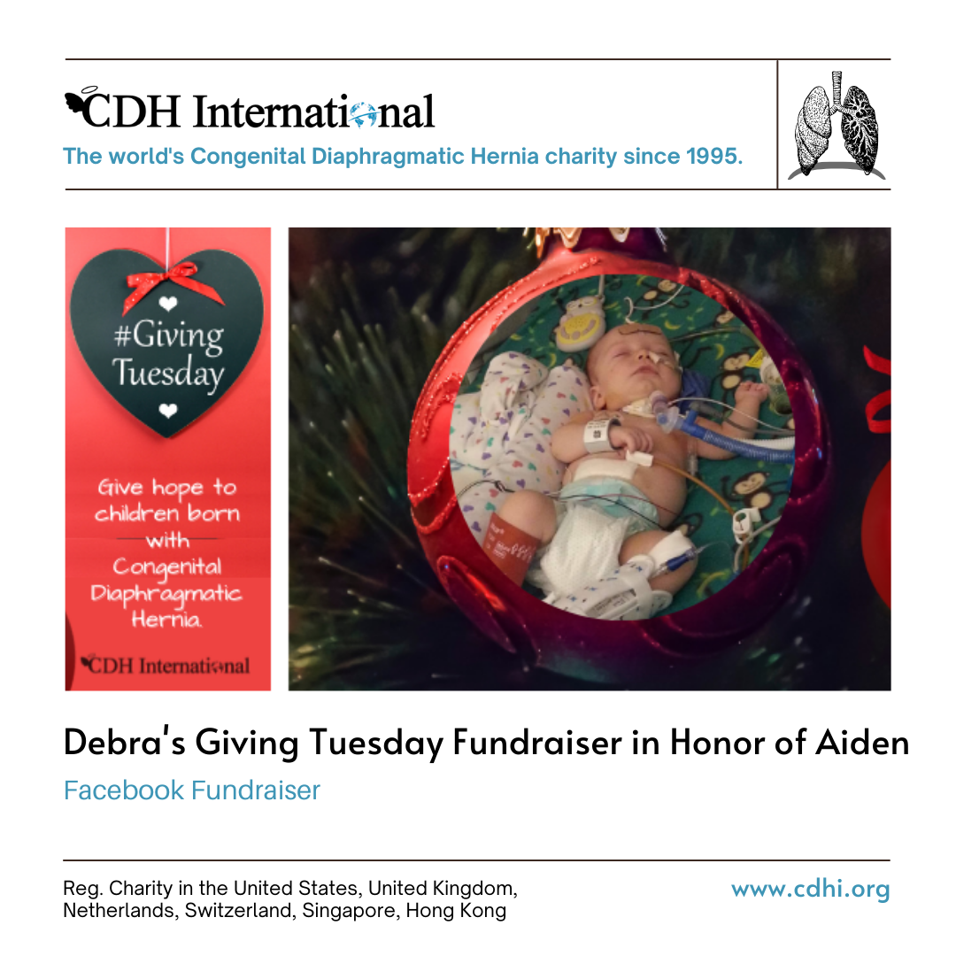 Hayden’s Giving Tuesday Fundraiser for CDHi in Honor of Henry