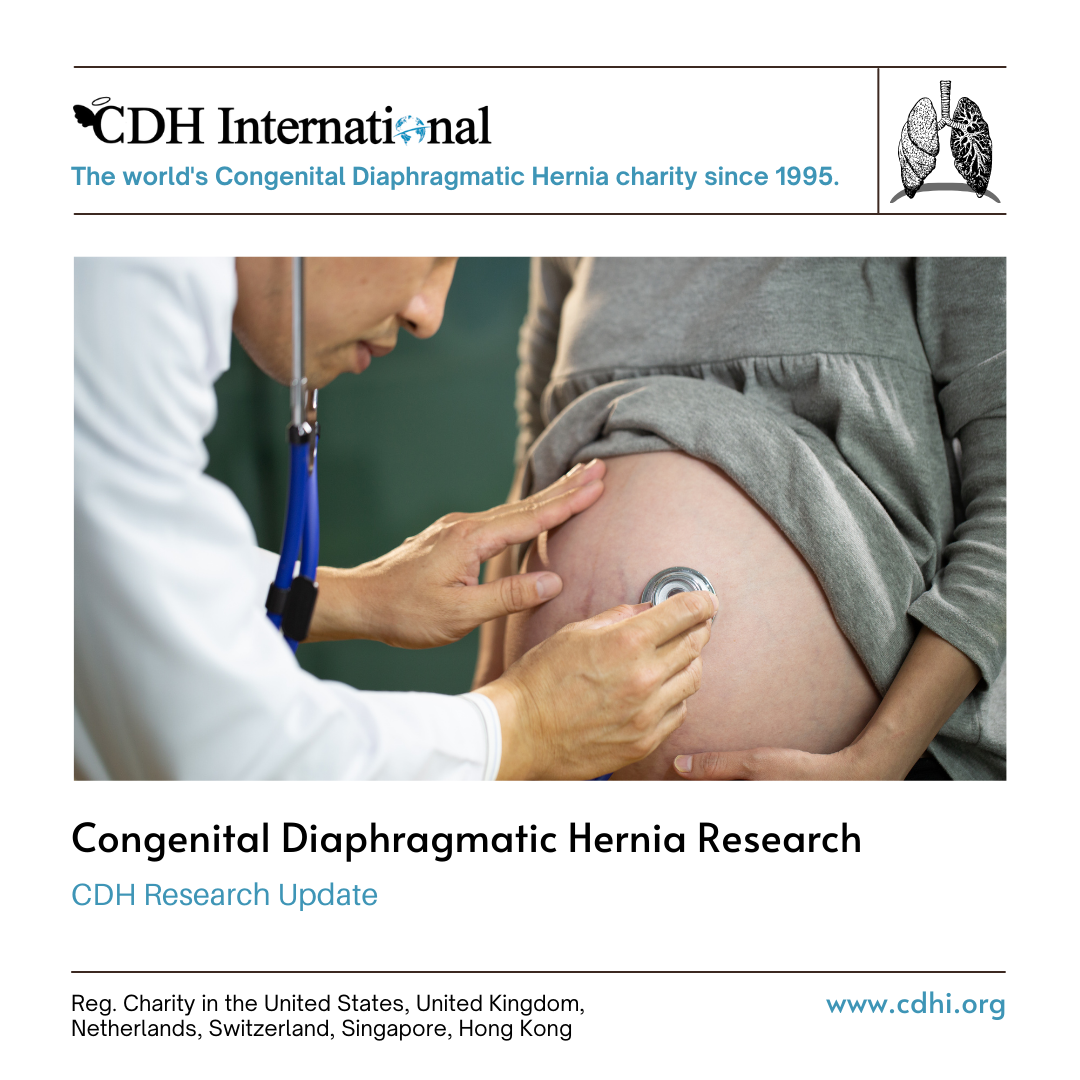 Research: A machine and deep Learning Approach to predict pulmonary hypertension in newborns with congenital diaphragmatic Hernia (CLANNISH): Protocol for a retrospective study