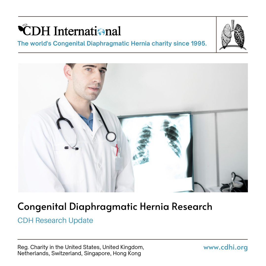 Research: Functional Assessment with Fetal Cardiac MRI in Congenital Diaphragmatic Hernia
