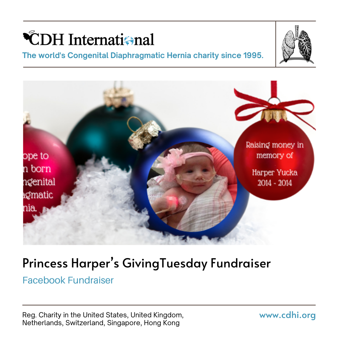 Madi’s Giving Tuesday Fundraiser For CDHi