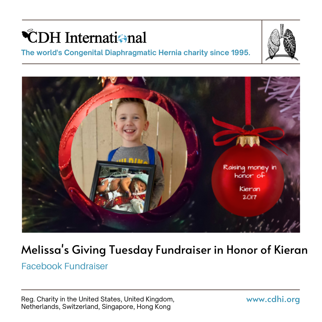 Madi’s Giving Tuesday Fundraiser For CDHi