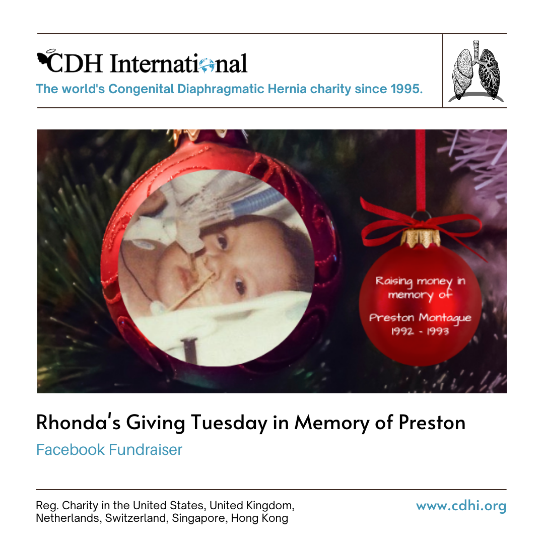 Denise’s Giving Tuesday Fundraiser for CDHi in Memory of James