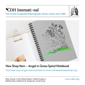 New Shop Designs - ANGELS (9)