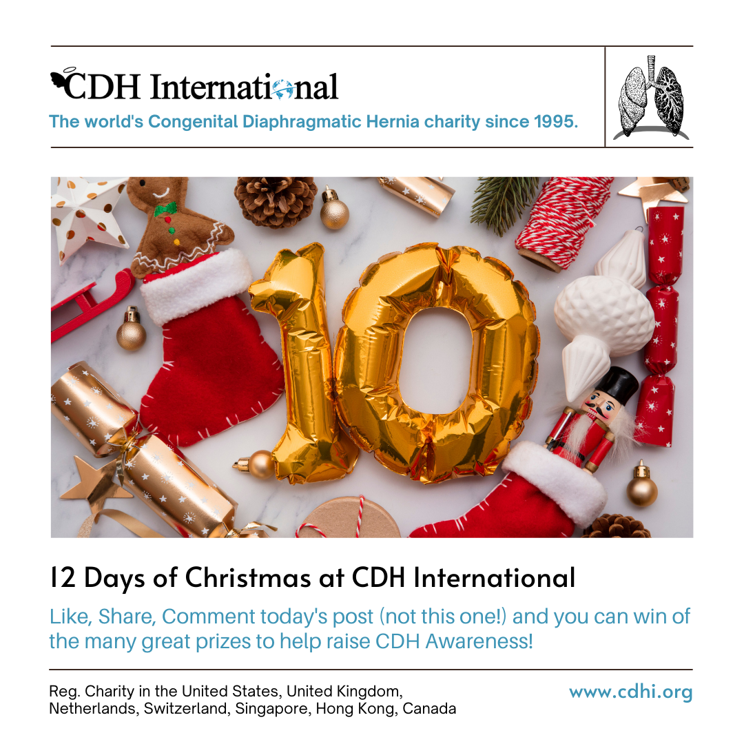 9th Day of Christmas CDHi Contest Prize!