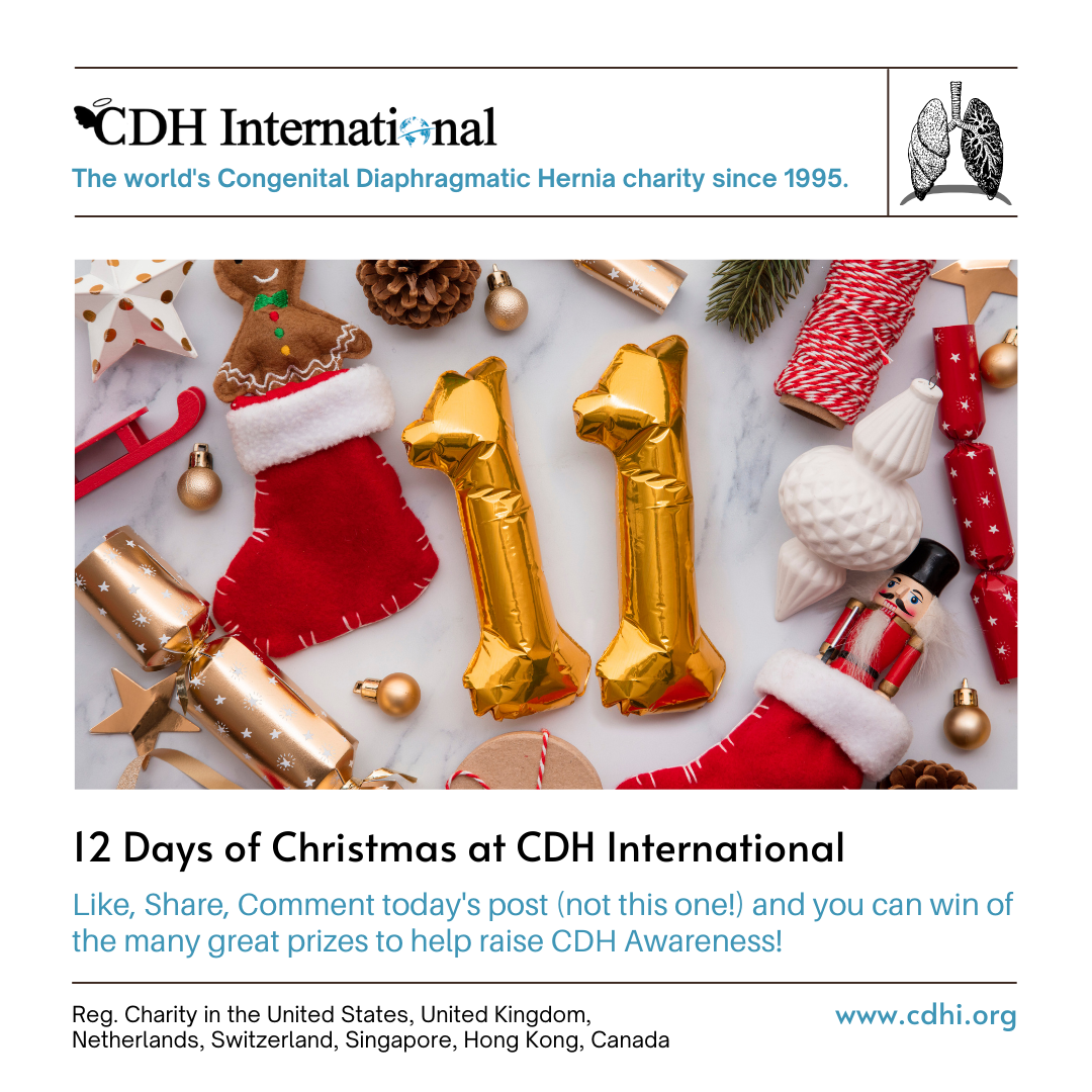 12th Day of Christmas CDHi Contest Prize!