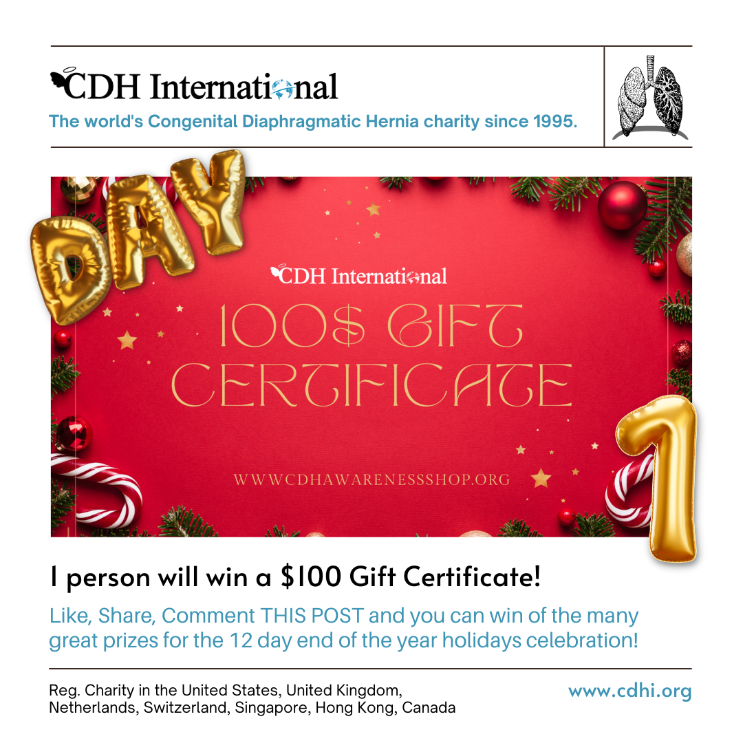 The CDHi 12 Days of Christmas Contest!