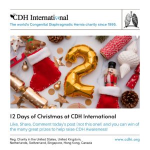 12 Days of Christmas (13)