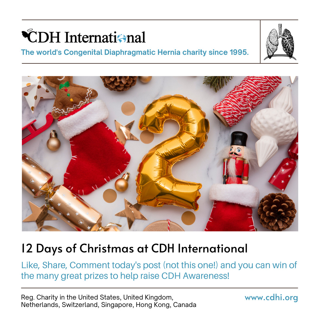 3rd Day of Christmas CDHi Contest Prize!