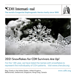 12 Days of Christmas