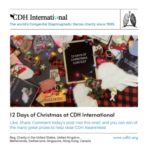 12 Days of Christmas (8)