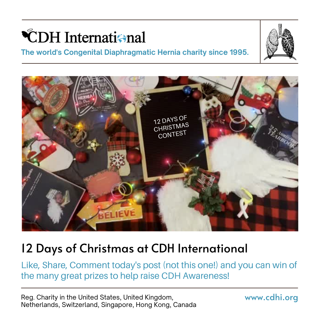 1st Day of Christmas CDHi Contest Prize!